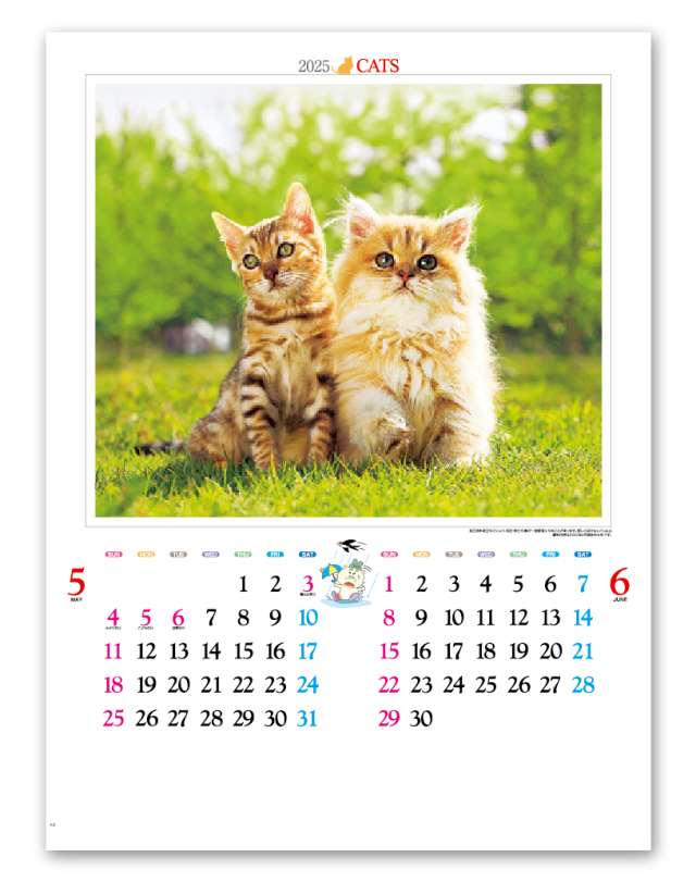 かわいい猫 カレンダー専門堂