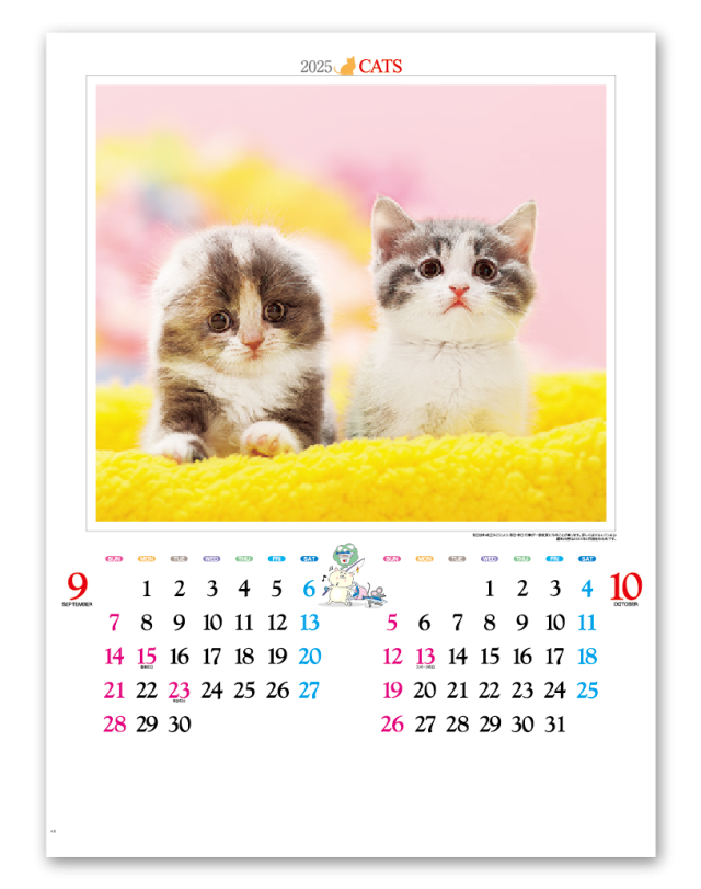 かわいい猫 カレンダー専門堂