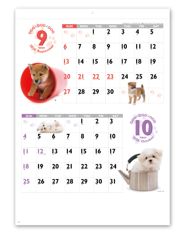 カレン・ホイプティング「chocolate dog」 リン Ring | #ジャジャーン🤗 #doggybox #6月はクラゲの国