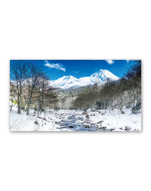 観光文字風景 カレンダー専門堂