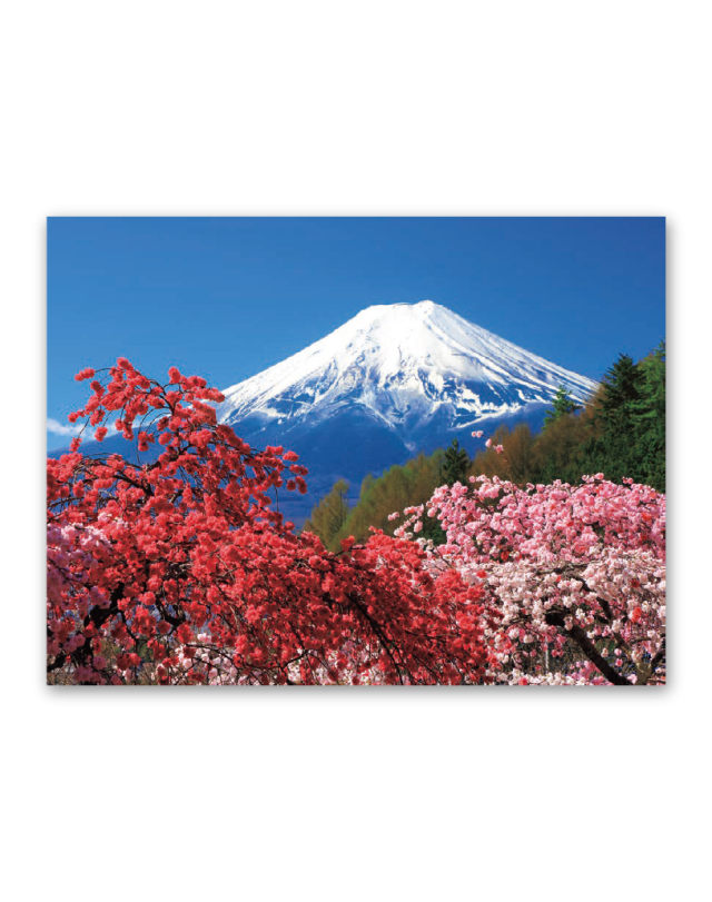 訪問着 富士山 スカイツリー 世界文化遺産 日本シリーズ 結婚式