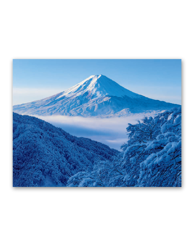 世界文化遺産 日本シリーズ 訪問着 黒地 富士山 桜 仮絵羽 sc4505