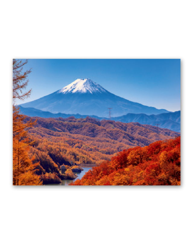 富士山 世界文化遺産 カレンダー専門堂