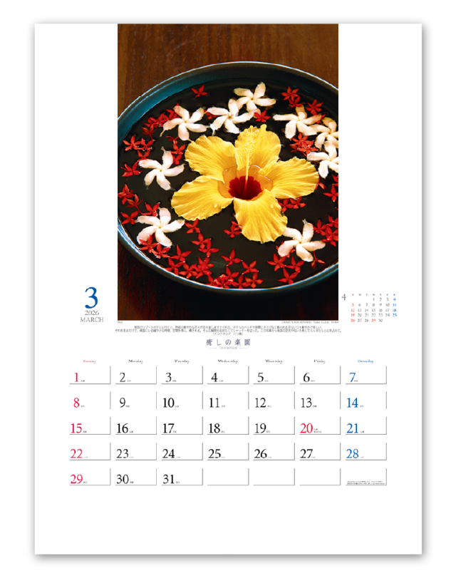 癒しの楽園 三好和義作品集 カレンダー専門堂